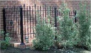 Fencing in Roanoke 