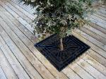 tree grate inserted flush with deck