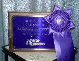 Award for Best Diplay in our category The Home Show  Roanoke Regional Home Builders Association