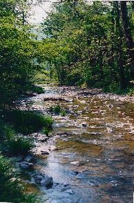 roanoke county creek nnear Appalachian ironworks